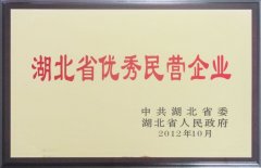 程力湖北省优秀民营企业证书